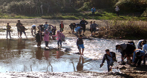 Des élèves bravent tous les dangers pour aller à l’école !