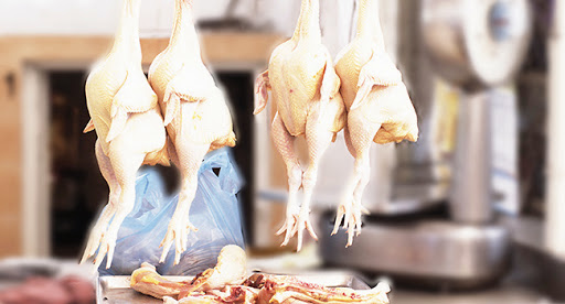 Dose d’antibiotiques pour ecourter sa duree d’elevage : du poulet « Dangereux » pour le consommateur en vente sur les marchés à Mostaganem !