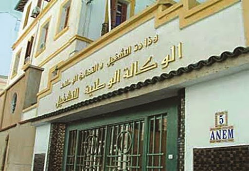 Environ 15 000 permis de travail délivrés à Alger,  Les “expats” au secours des chantiers de la capitale