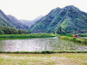 Ferme « AQUASOL » d’Ain Temouchent : une production supplémentaire de 420 tonnes en 2016