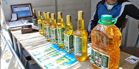 Fête de l’olive à Béjaia : Une production oélicole estimée à plus de 20 millions de litres