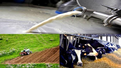 La France est disposée à renforcer davantage sa présence économique en Algérie