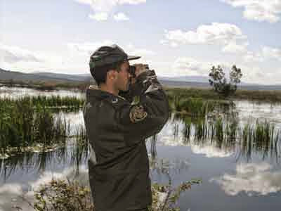 Les zones humides en Algérie, Des écosystèmes menacés par la pollution