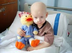 Naâma: une unité anti-cancer mise en service prochainement à l’hôpital de Mécheria