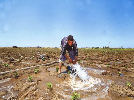 Pouvoir d&rsquo;achat du citoyen: la dégringolade, Oran : Vivement le retour à l&rsquo;agriculture