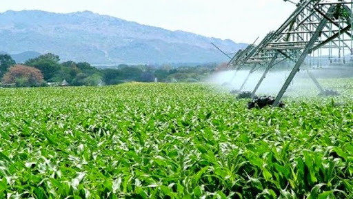 Renforcement de la production agricole, Irrigation d’un million d’hectares de terres agricoles