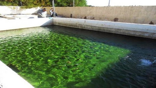 Signature de conventions-cadre sur l’aquaculture intégrée avec des agriculteurs de quatre wilayas à Guelma