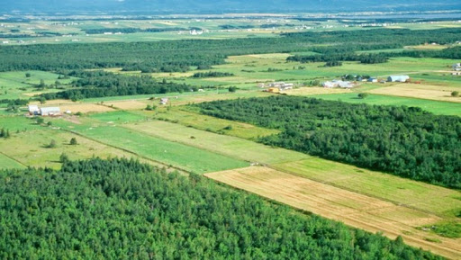 Aïn Defla : le volume de la production agricole multiplié par 23 en l’espace de 15 ans
