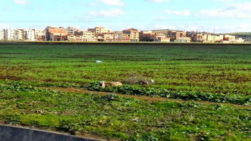 Blida : la révision des PDAU, solution idéale pour préserver la plaine de la Mitidja