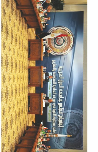 Création d’une Force arabe commune, Le projet à l’épreuve des divergences arabes