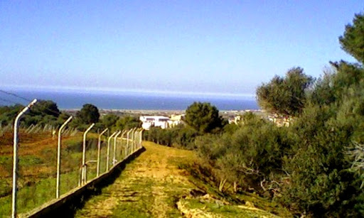 El Qaria », l’ancien village agricole de Zéralda en quête d’équipements publics