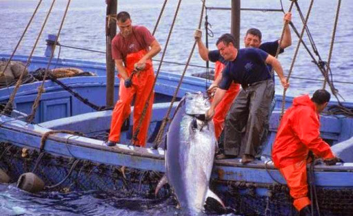 Financement des projets d’aquaculture, Signature prochaine de plusieurs conventions