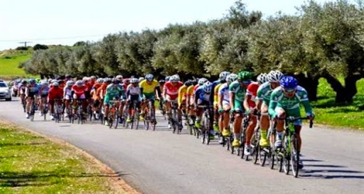 GTAC-2015/ tour international d’Oran (1re etape) Victoire de l’Algérien Hicham Chaâbane