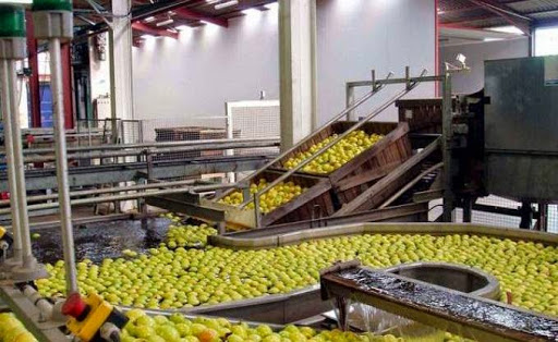Industrie agroalimentaire : Une filière «bien portante»