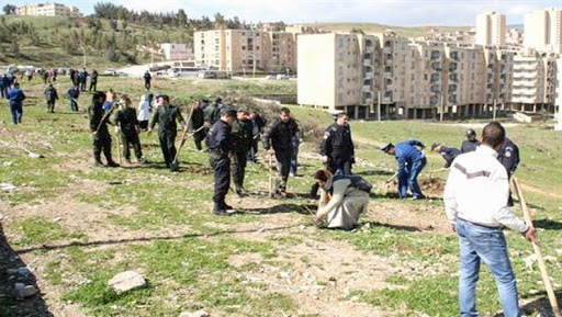 La police s’implique dans une importante opération de reboisement à Constantine