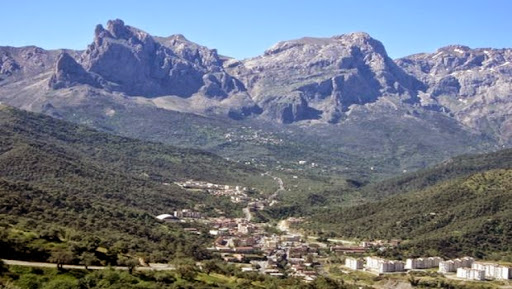 La wilaya de Tizi-Ouzou peut prétendre à l’émergence d’une économie de montagne