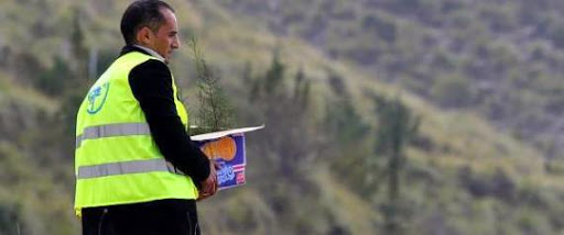 L&rsquo;Algérie accueille le printemps avec de nouveaux arbres