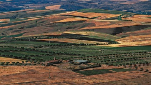 Le GIEC adopte une proposition de l&rsquo;Algérie sur la désertification et les changements climatiques