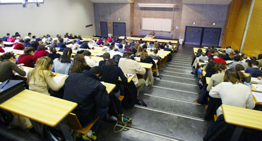 Le statut de professeur fait polémique, Les enseignants universitaires en ébullition