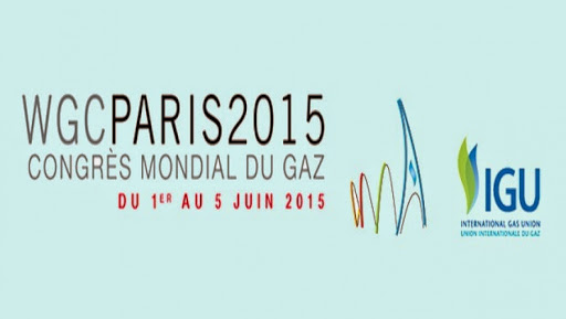 L&rsquo;Union internationale du gaz finalise son rapport pour le Congrès mondial du gaz