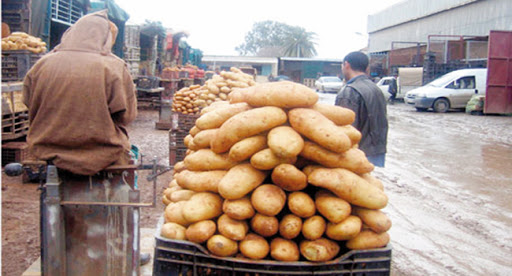 MASCARA : La pomme de terre victime des spéculateurs !