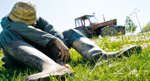 pour cessation d’activite : 50 fellahs dépossédés de leurs terres agricoles à Oran