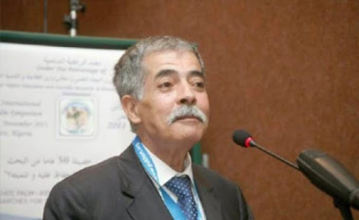 Production céréalière, L’Algérie peut réduire ses importations de 50%