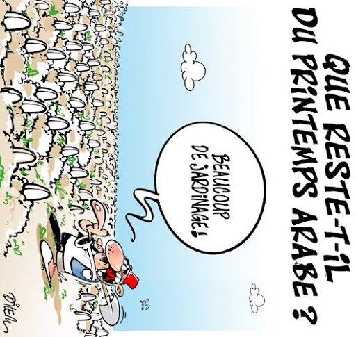 Que reste-t-il du printemps arabe?