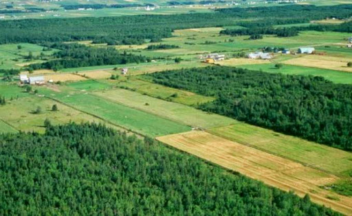 Statut juridique du foncier agricole, 41% des terres ne sont pas titrées