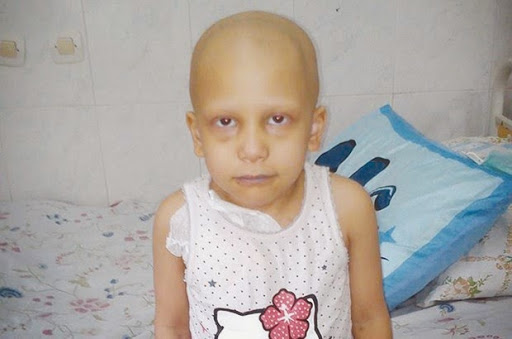 sur proposition du gouvernement algerien : vers un énorme campus de lutte contre le cancer !