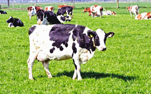 Vers la fin de la suprématie française en Algérie