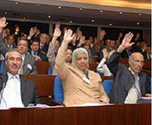 Violence à l’égard des femmes, Le projet de loi divise les députés