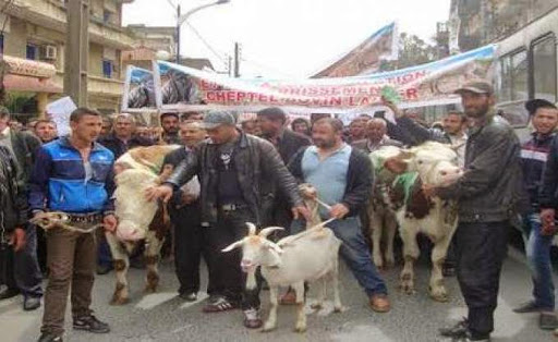 Alors que le salon de l’agriculture de Tizi Ouzou est annulé, Le ton se durcit entre les agriculteurs et l’administration