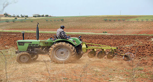 CHLEF: L&rsquo;agriculture en situation inquiétante
