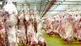Croissance de 11% de la filière viande rouge en 2014 (ministère)