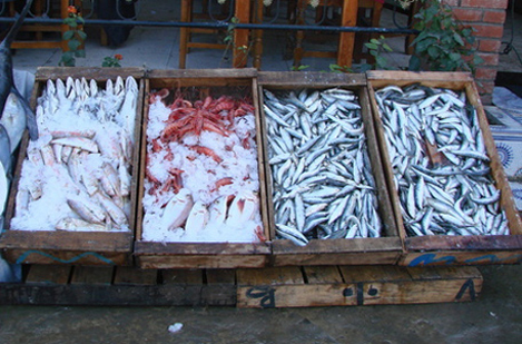 Hausse du prix de la sardine: Les consommateurs optent pour le boycott