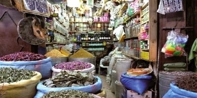 Herboriste, un métier qui fait florès à Médéa