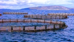 La nouvelle loi sur la pêche et l’aquaculture publiée au JO