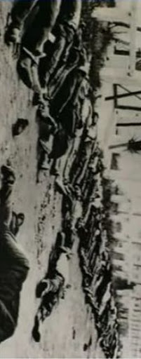 Le Conseil de Paris pour une reconnaissance des massacres du 8 mai 1945 en Algérie