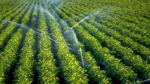 Les capacités de réutilisation des eaux usées traitées dans l’irrigation portées à 325 millions m3