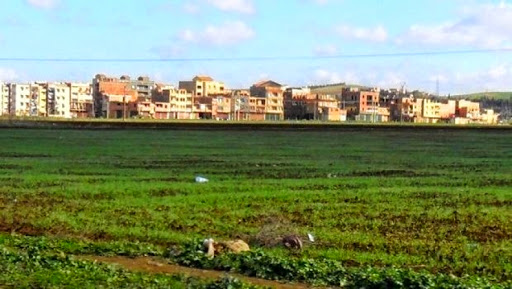 Les délais de traitement des contentieux fonciers au Conseil d&rsquo;Etat « raisonnables »