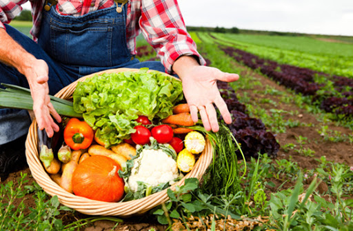 Les experts évaluent la production agricole et agroalimentaire