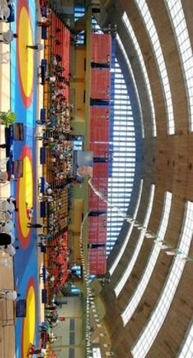 Lutte/JO-2016: Tournoi qualificatif « Océanie-Afrique » du 1 au 3 avril 2016 à Alger