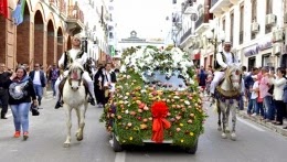 Parade multicolore et ambiance de fête pour célébrer la distillation de l’eau de rose à Constantine