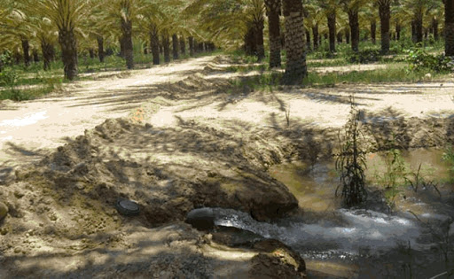 Plaidoyer pour une exploitation judicieuse de la ressource en eau