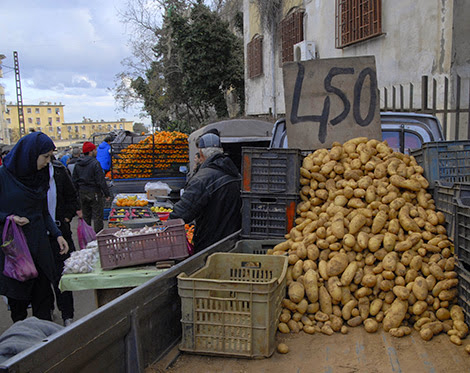 Pomme de terre de saison : Celle de Mosta arrive !