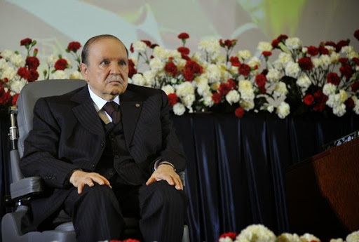 Révision de la constitution, La copie finale chez Bouteflika