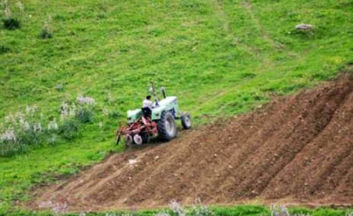 Valorisation des produits agricoles, « Filaha » propose un autre regard