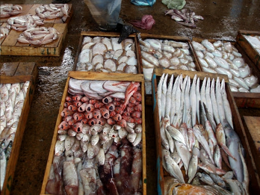300 000 tonnes de poissons exportés à partir du port d’Oran en 2014