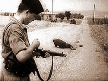 70E anniversaire des massacres du 8 Mai 1945, Les Algériens de France associés